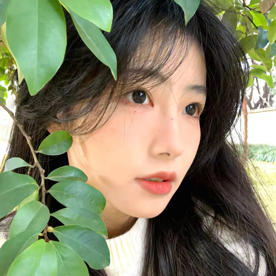 小白花误惹太子爷